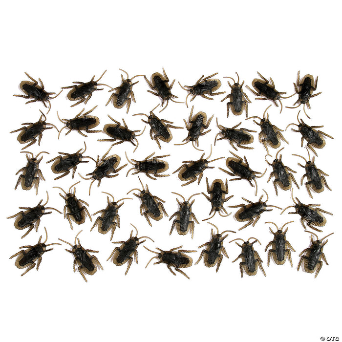 Cockroaches - Bag Of 40
