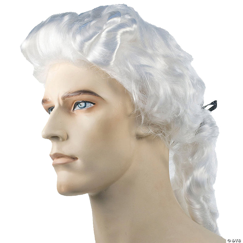 Colonial Man Special Bargain Wig - image 1