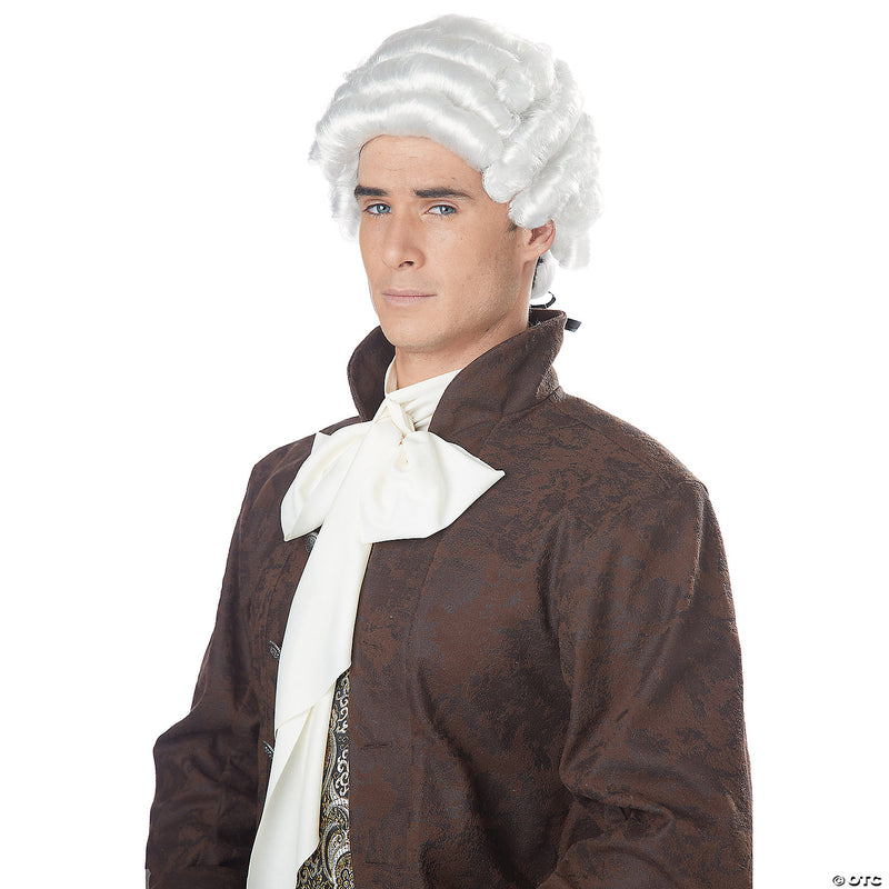 Colonial Man Wig - image 1