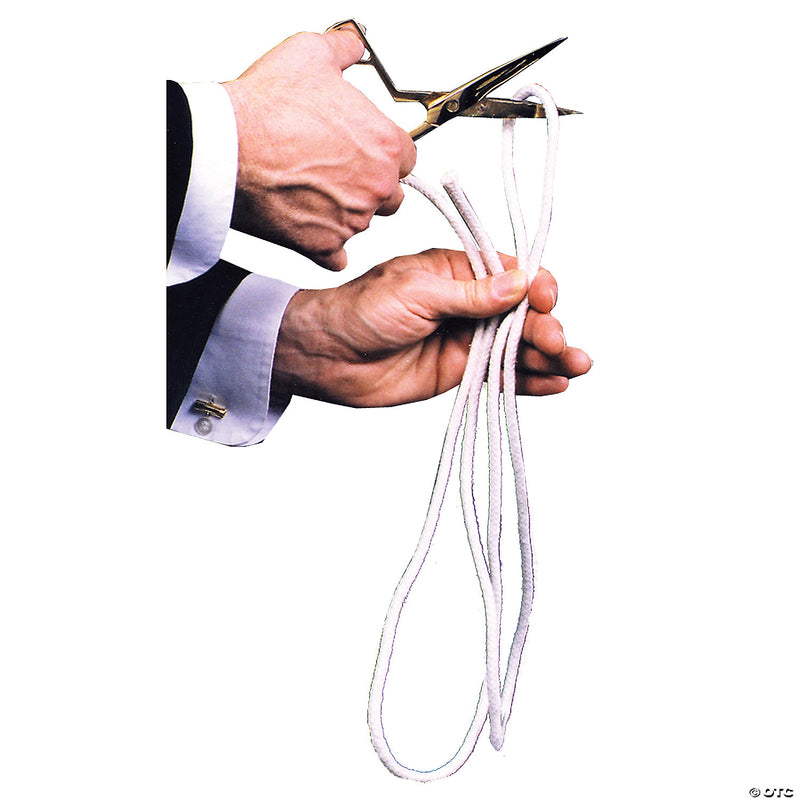 Cut And Restored Rope - image 1