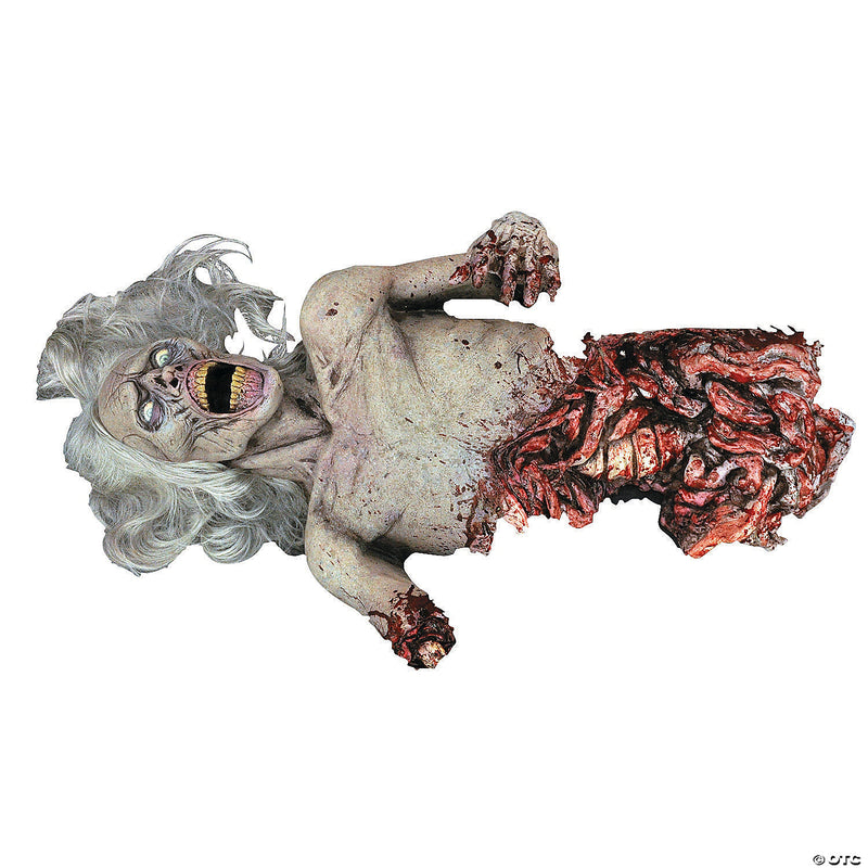 Die Zomebie Die! Prop - image 1