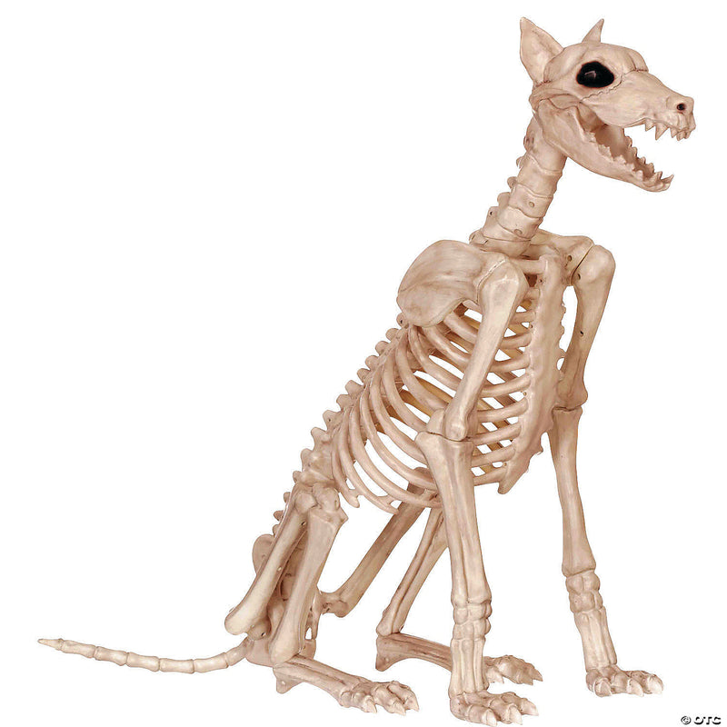Doberman Skeleton | Costume-Shop.com - image 1