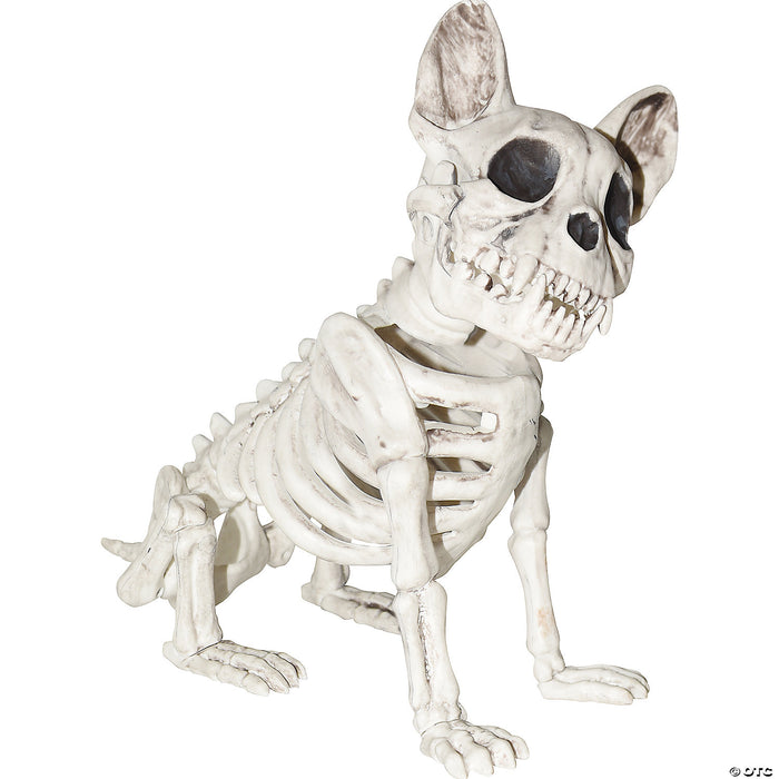 Dog Skeleton