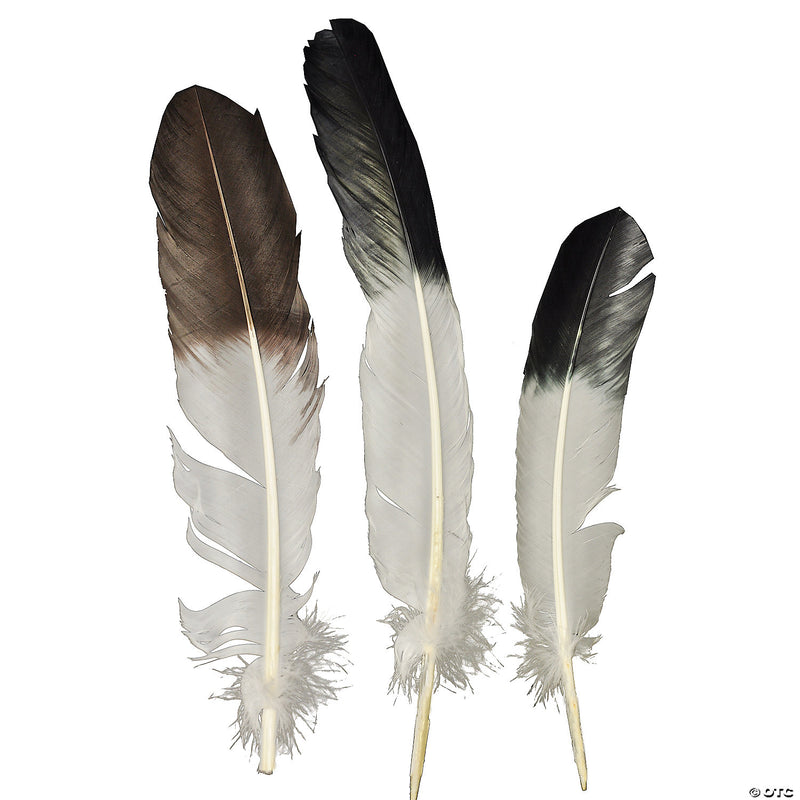 Eagle Tip Feather - image 1