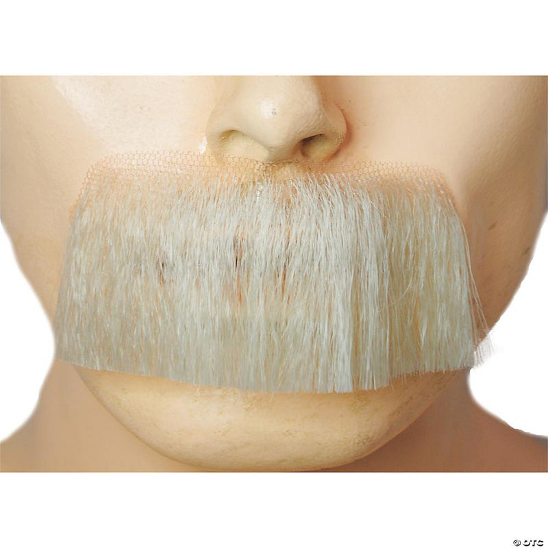 Einstein Mustache - Human Hair | Costume-Shop.com - image 1