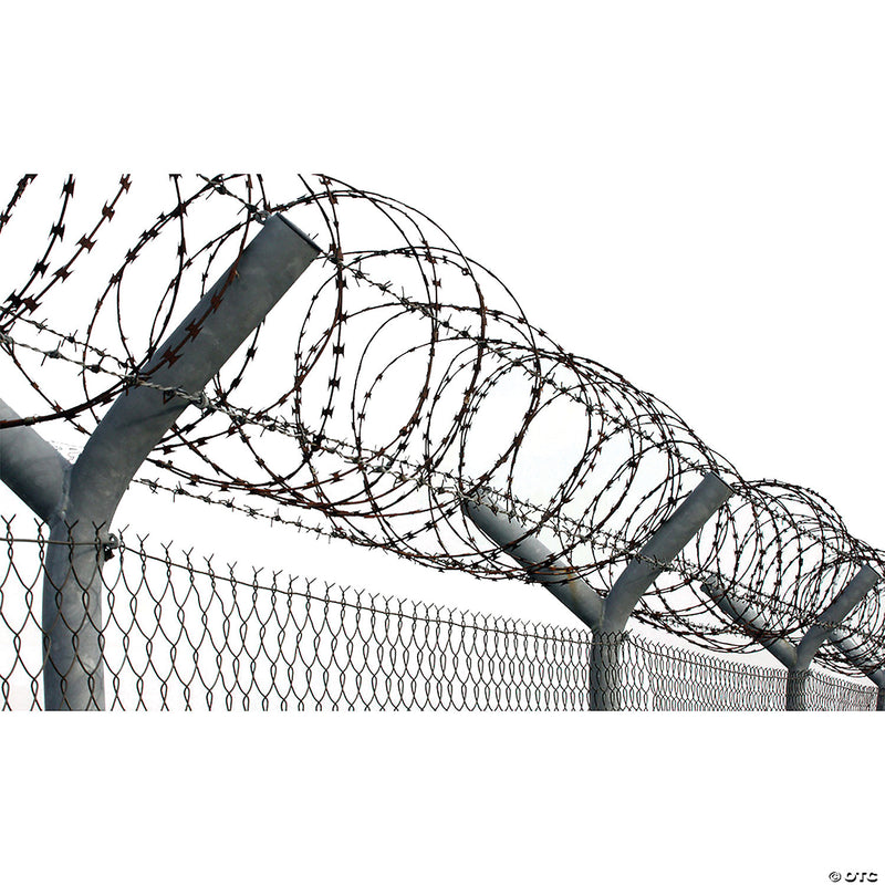 Faux Razor Wire - image 1