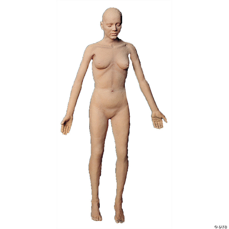 Flex Body-Female - image 1