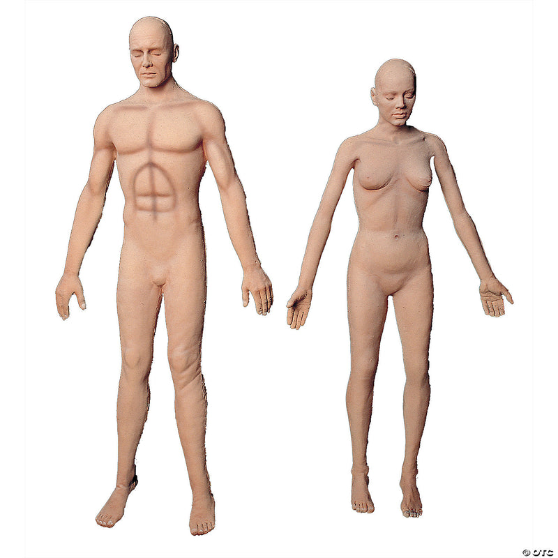 Flex Body Male - image 1