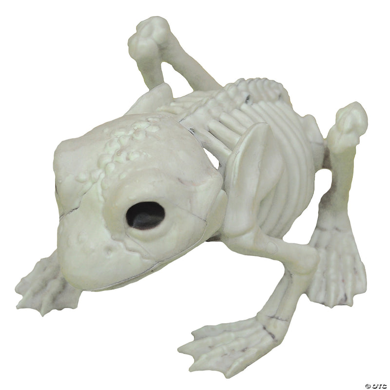 Frog Skeleton Decoration | Costume-Shop.com - image 1