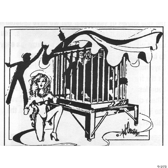 Girl To Lion Illusion Plans