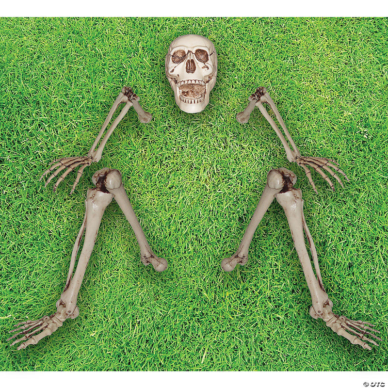 Skeleton Groundbreaker Decoration - image 1