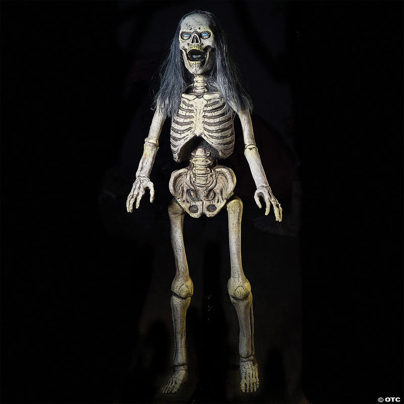 Hairy Scary Skeleton Prop - image 1