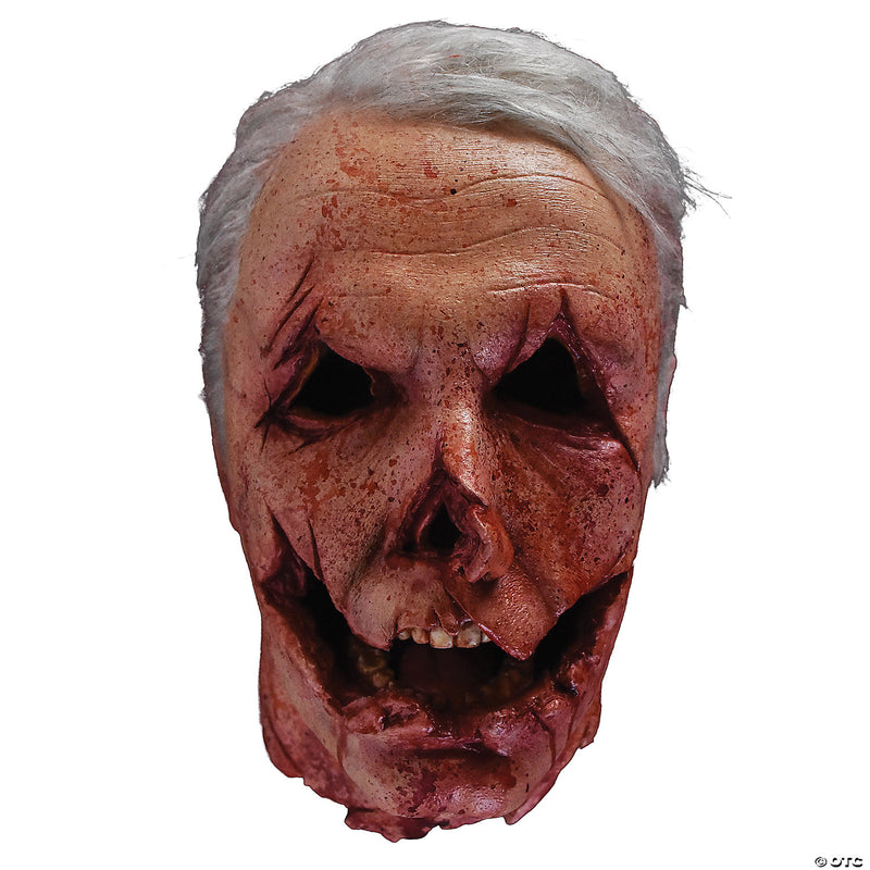 Halloween 2018 Officer Francis Severed Head Prop - image 1