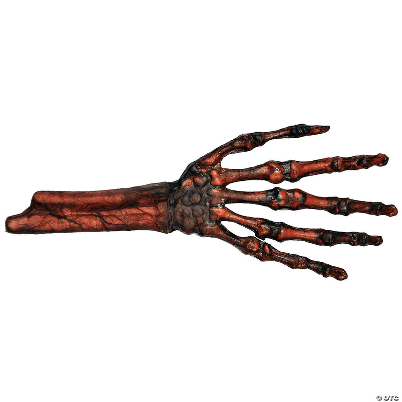 Hand Rotted Flesh And Bone - image 1