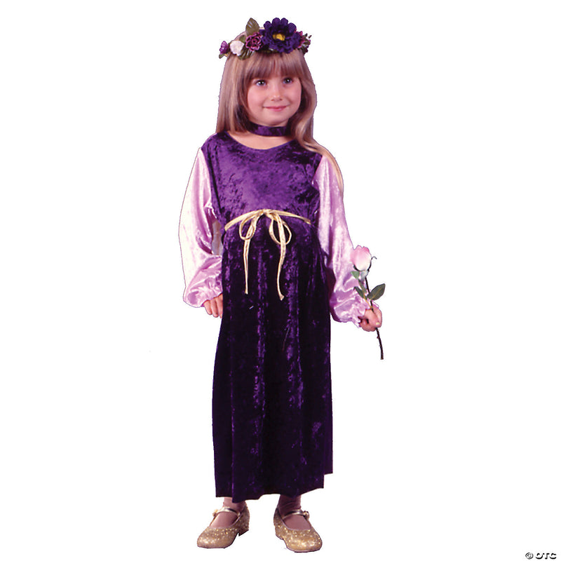 Harvest Princes Velvet Costume - image 1