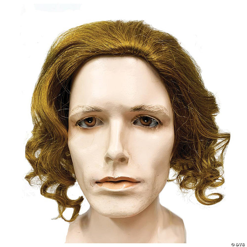 Joker Wig - image 1