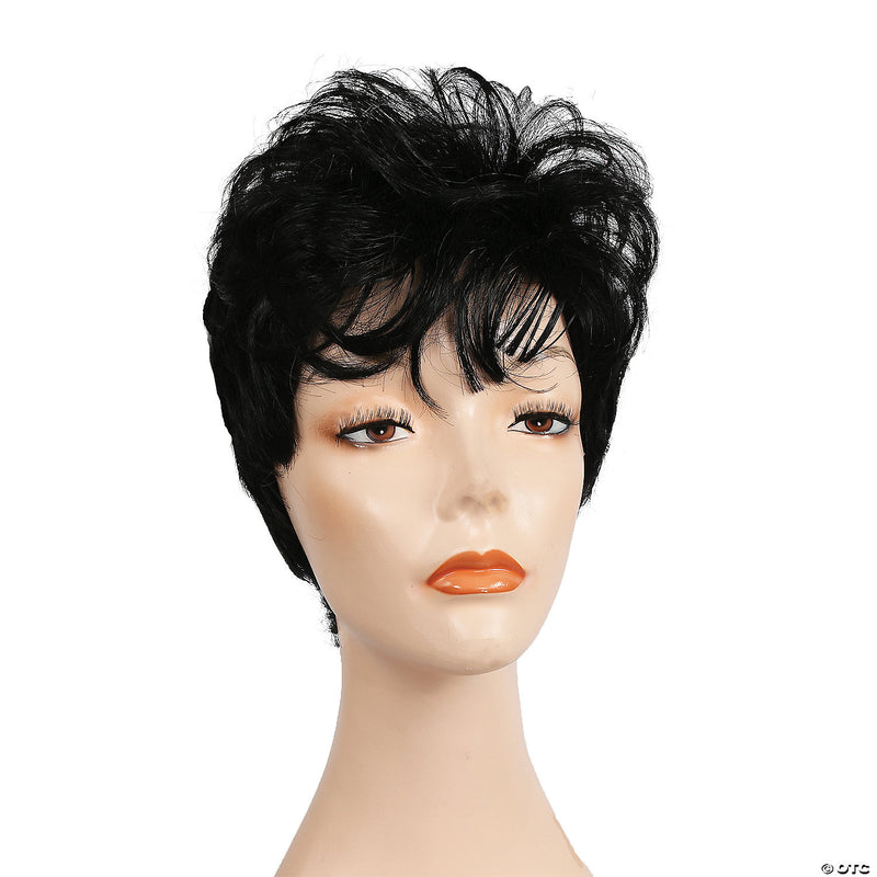 Judy G Black Wig - image 1