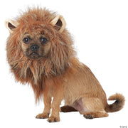 Regal Roar: Lion Mane Dog Costume 🦁👑 - LARGE - image 1