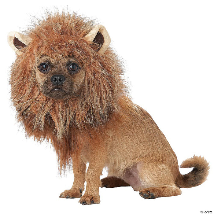 Regal Roar: Lion Mane Dog Costume 🦁👑