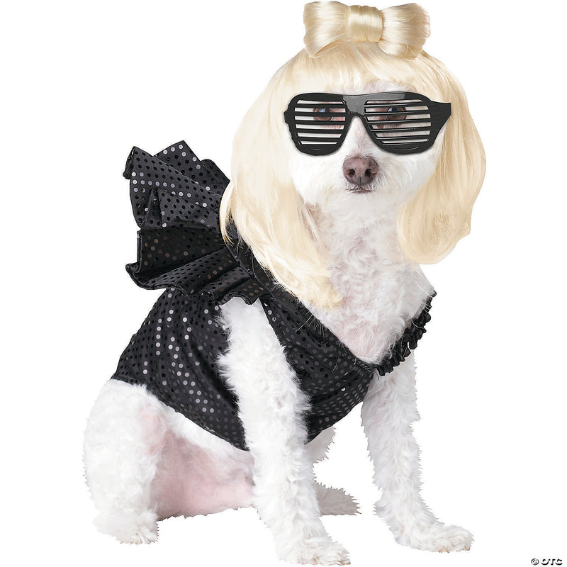 Lady Dogga: Star Quality Pet Costume 🌟🐾 - MEDIUM - image 1