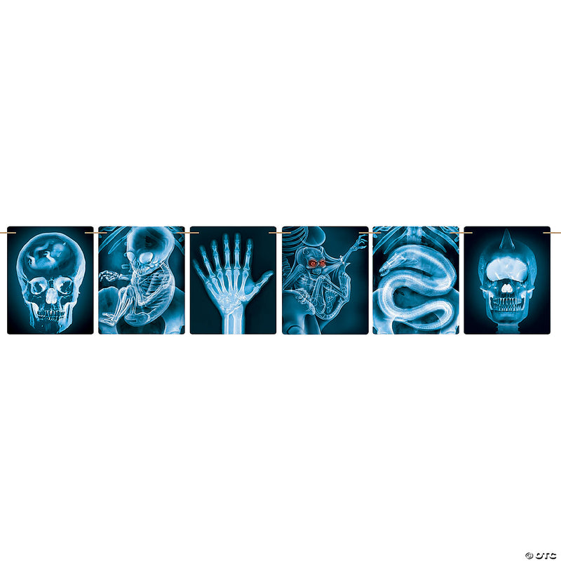 Mad Scientist X-Ray Banner - image 1