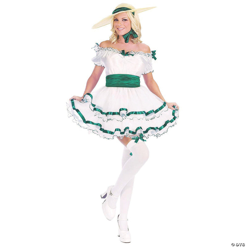 Sexy Southern Belle Costume - SMALL - image 1