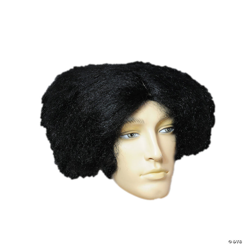 Mad Scientist Costume Wig - BLACK - image 1