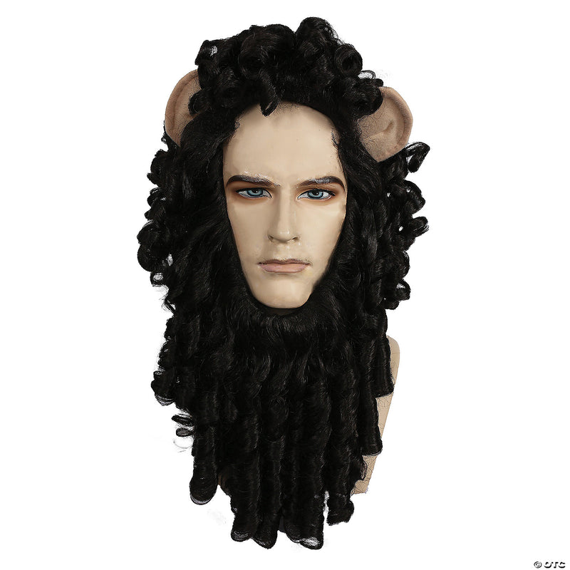 Men's Curly Lion Wig | Costume-Shop.com - BROWN - image 1