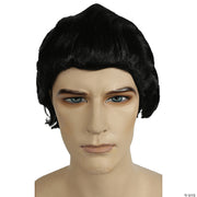 Classic Dracula Costume Wig - BLACK - image 1