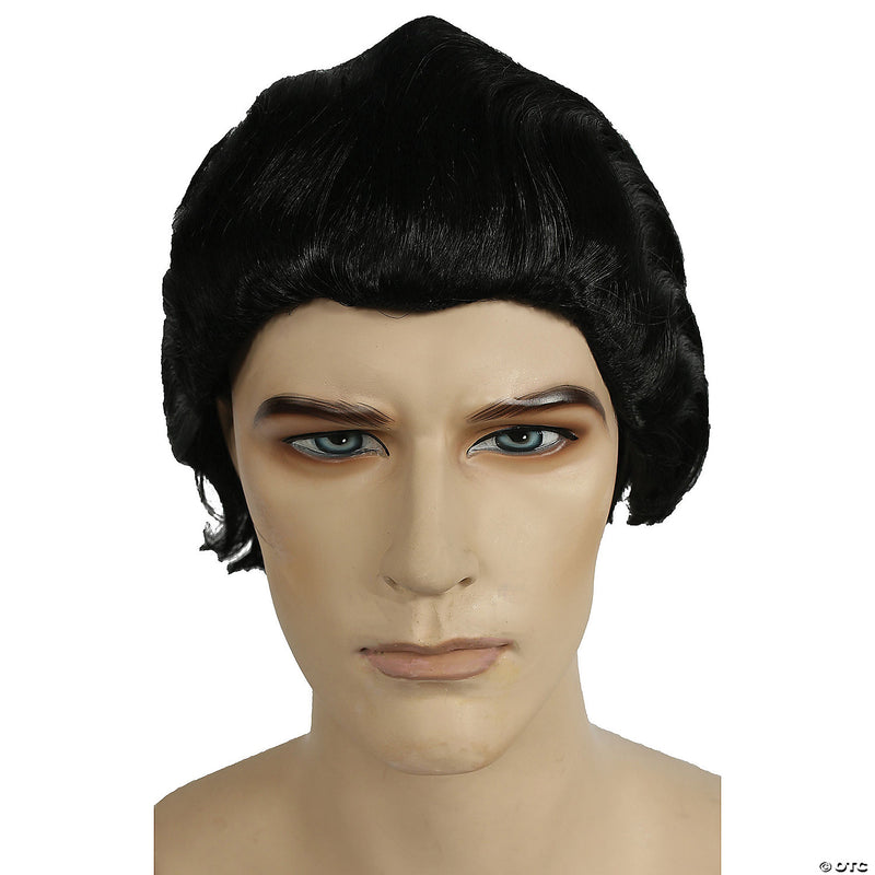 Classic Dracula Costume Wig - BLACK - image 1