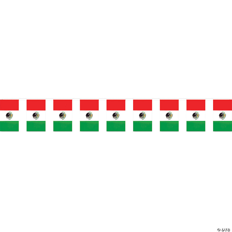 Mexican Flag Banner - image 1