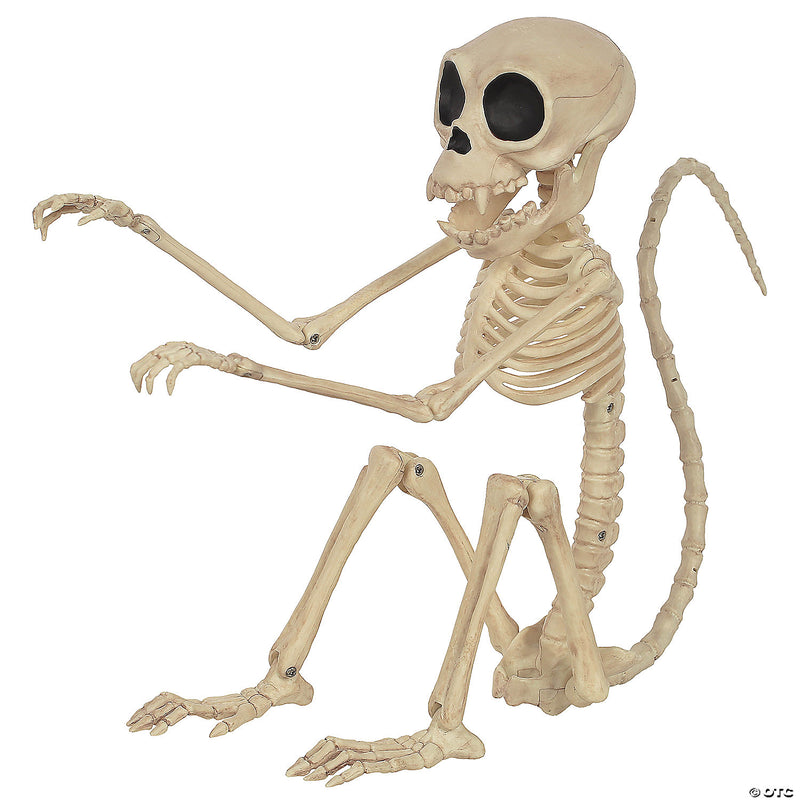 Monkey Skeleton - image 1