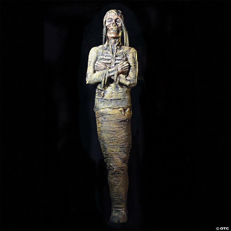 Monster Mummy Prop - image 1