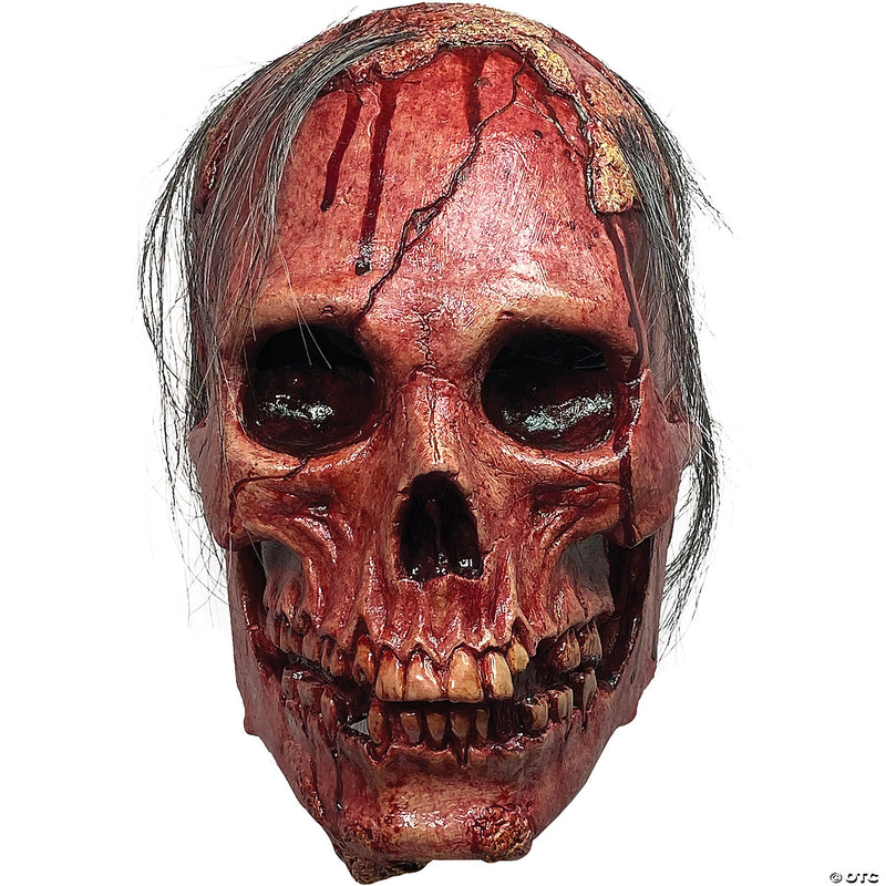 Necro-Dome Mask - image 1
