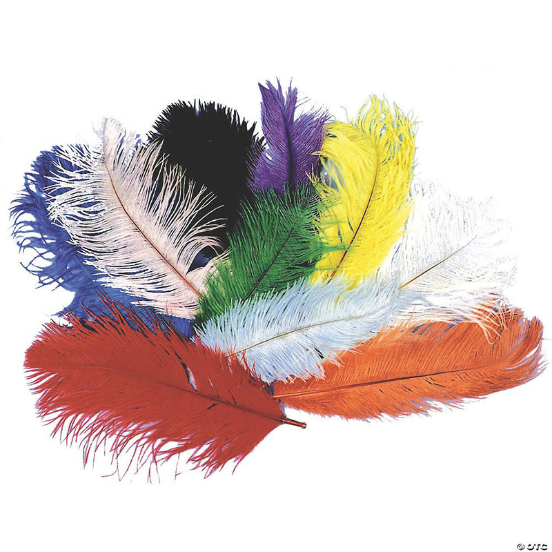 Ostrich Plume | Costume-Shop.com