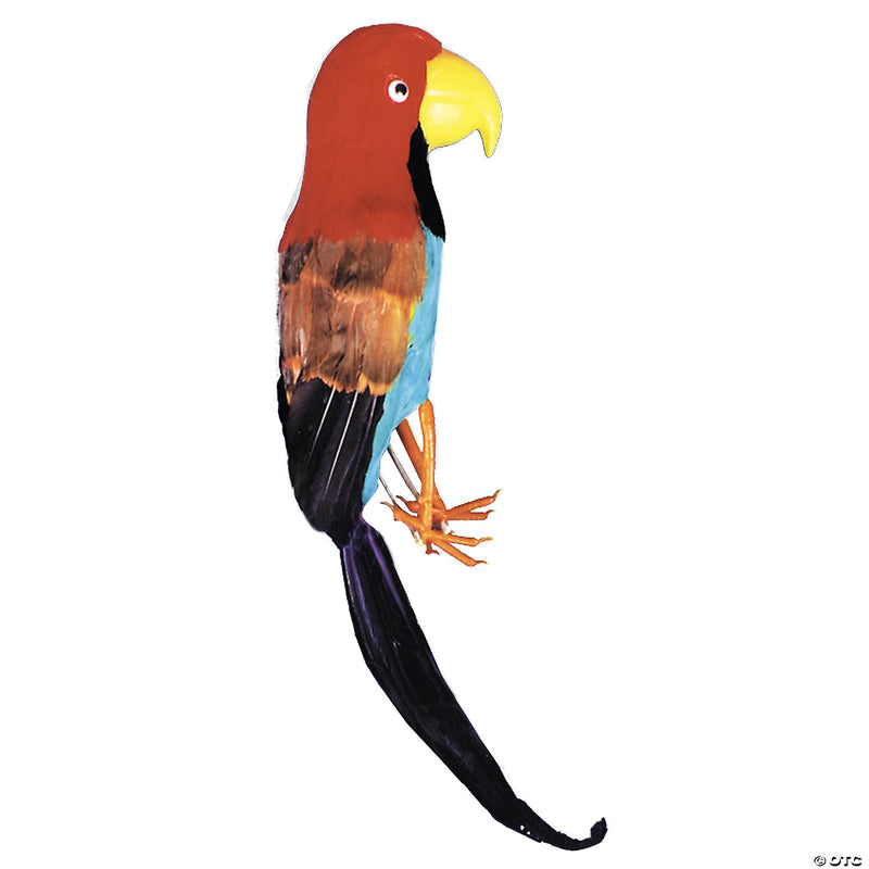 Pirate Parrot - image 1