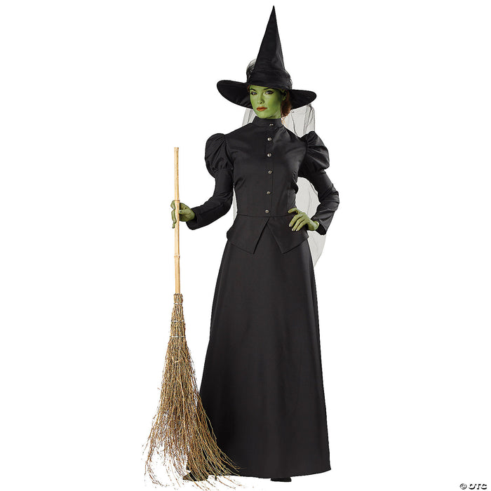 Plus Size Classic Deluxe Witch Costume | Costume-Shop.com