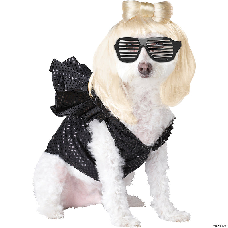 Pop Sensation Dog Costume - SMALL - image 1