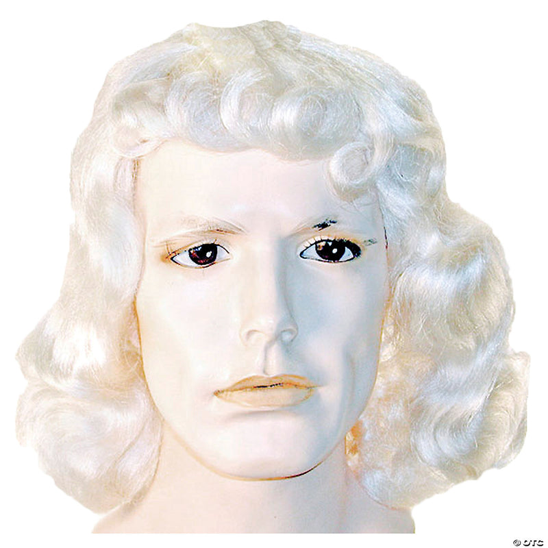 Oatmeal Box Quaker Wig - image 1