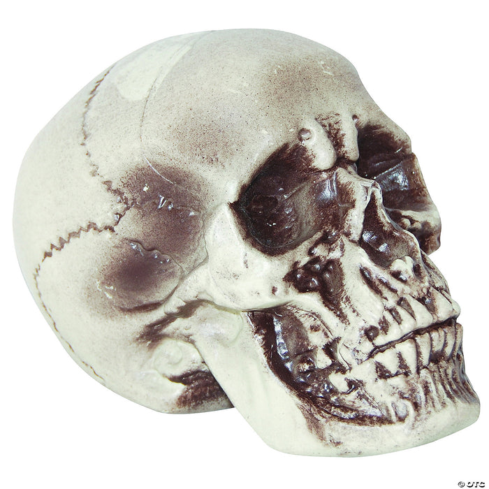 Realistic Skull Decoration