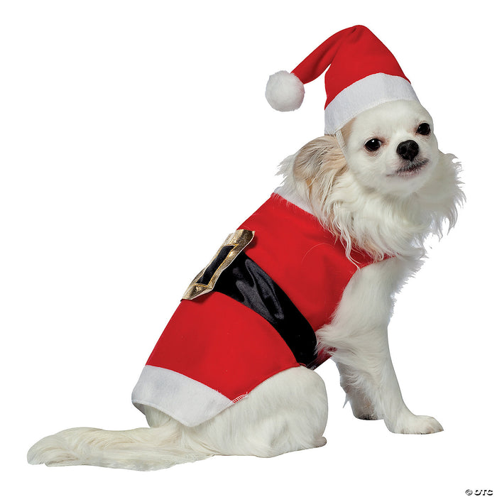 Santa Dog Costume