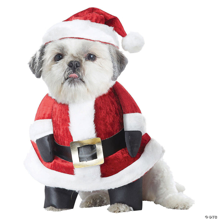 Santa Paws Dog Costume - Large