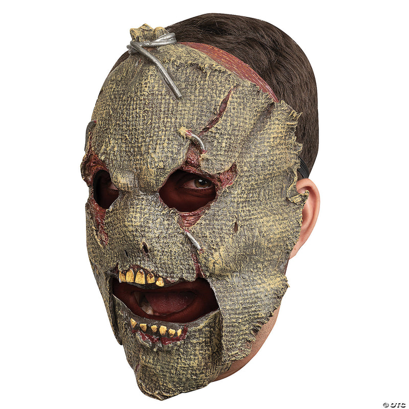 Animated Scarecrow Face Mask - image 1