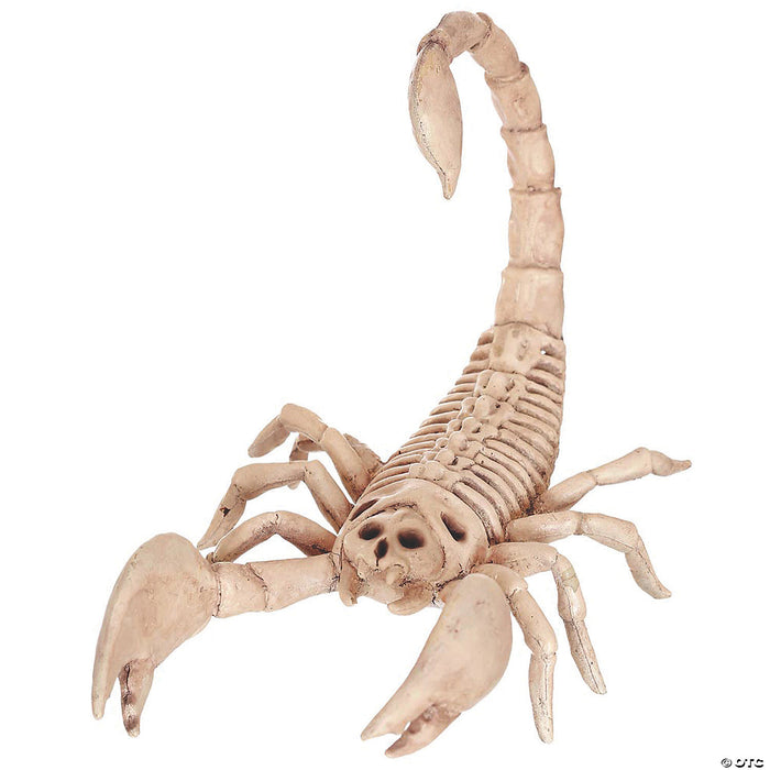 Scorpion Skeleton Halloween | Costume-Shop.com