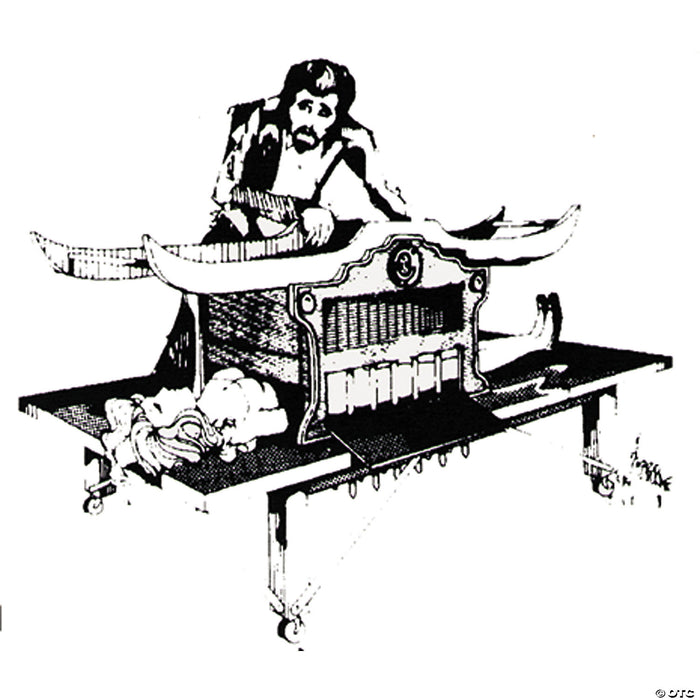 Shred Her Illusion Plans