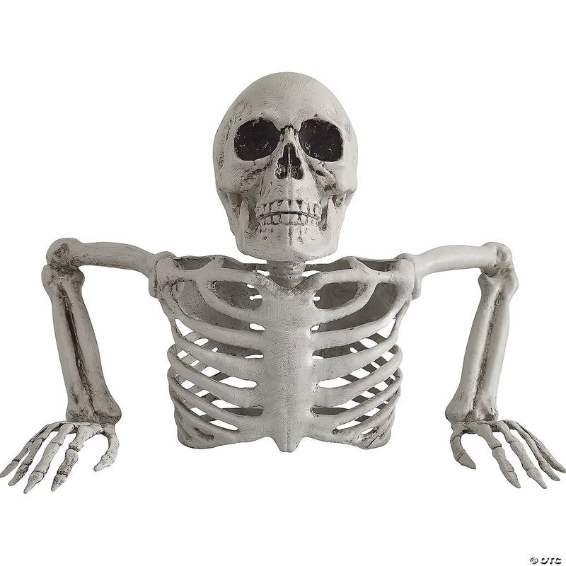 Skeleton Groundbreaker Decoration - image 1