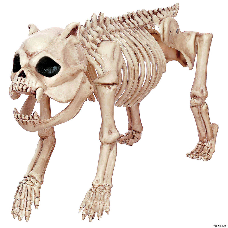 Skeleton Bones The Dog Prop - image 1