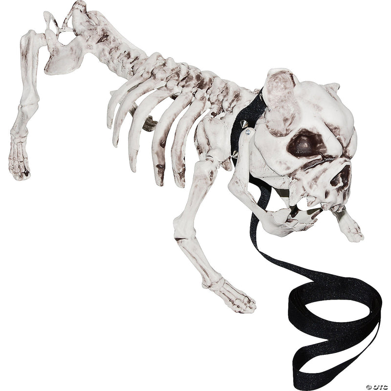Skeleton Dog - image 1