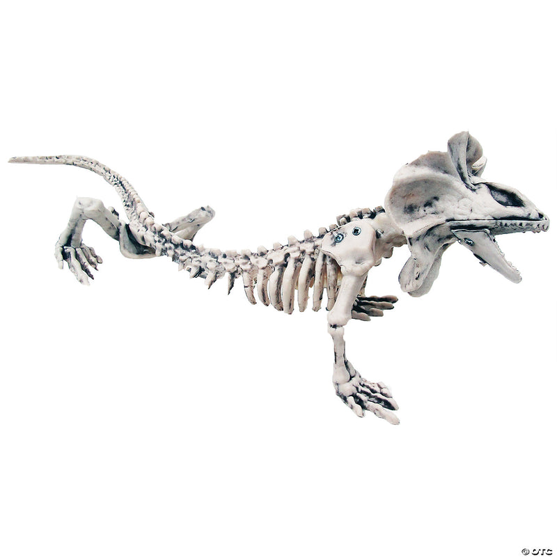 Lizard Skeleton Decoration - image 1