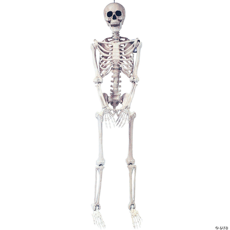 5 Ft. Skeleton Pose & Hold Halloween | Costume-Shop.com - image 1